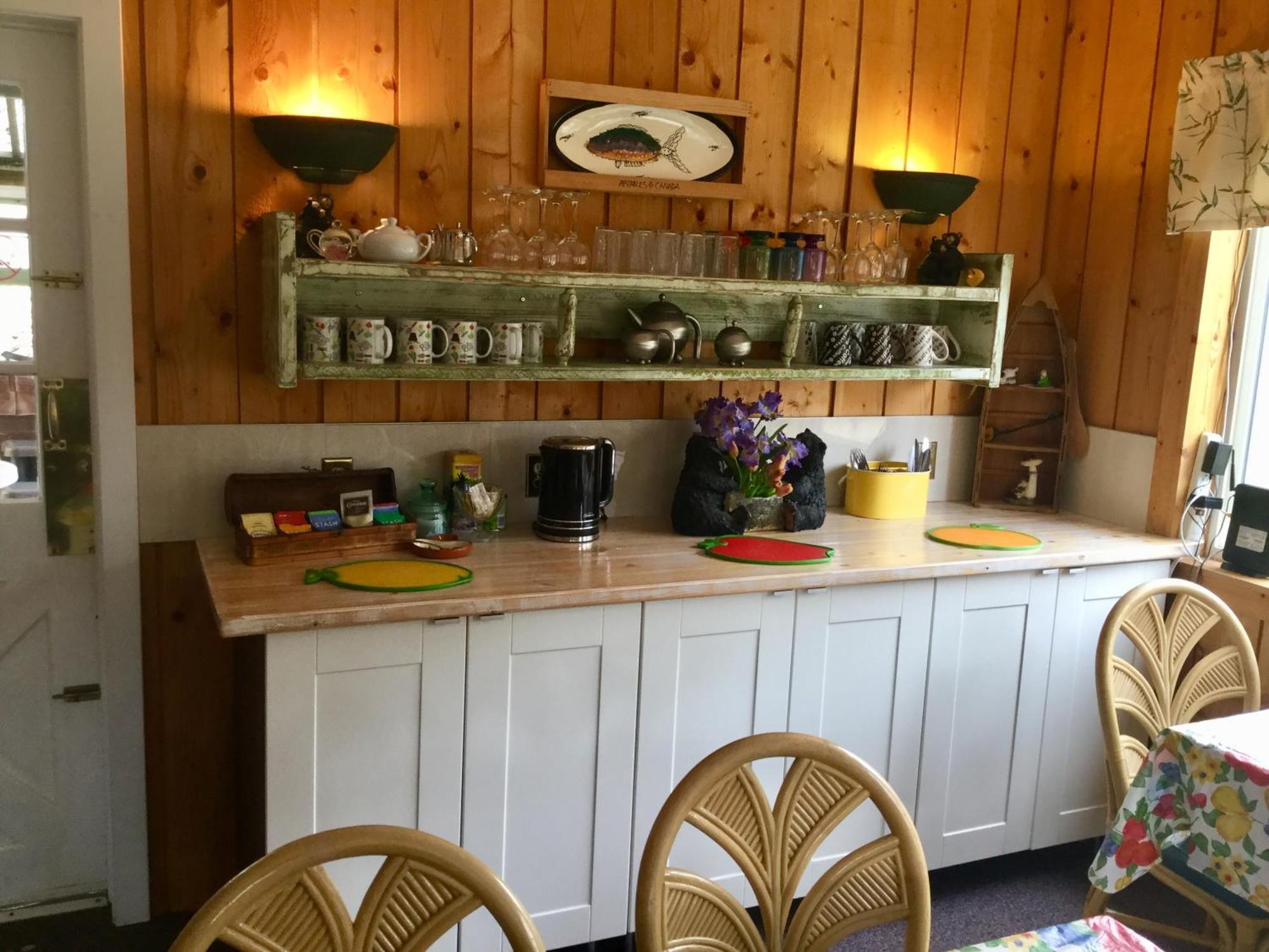Dream Catcher Inn Valemount Zewnętrze zdjęcie