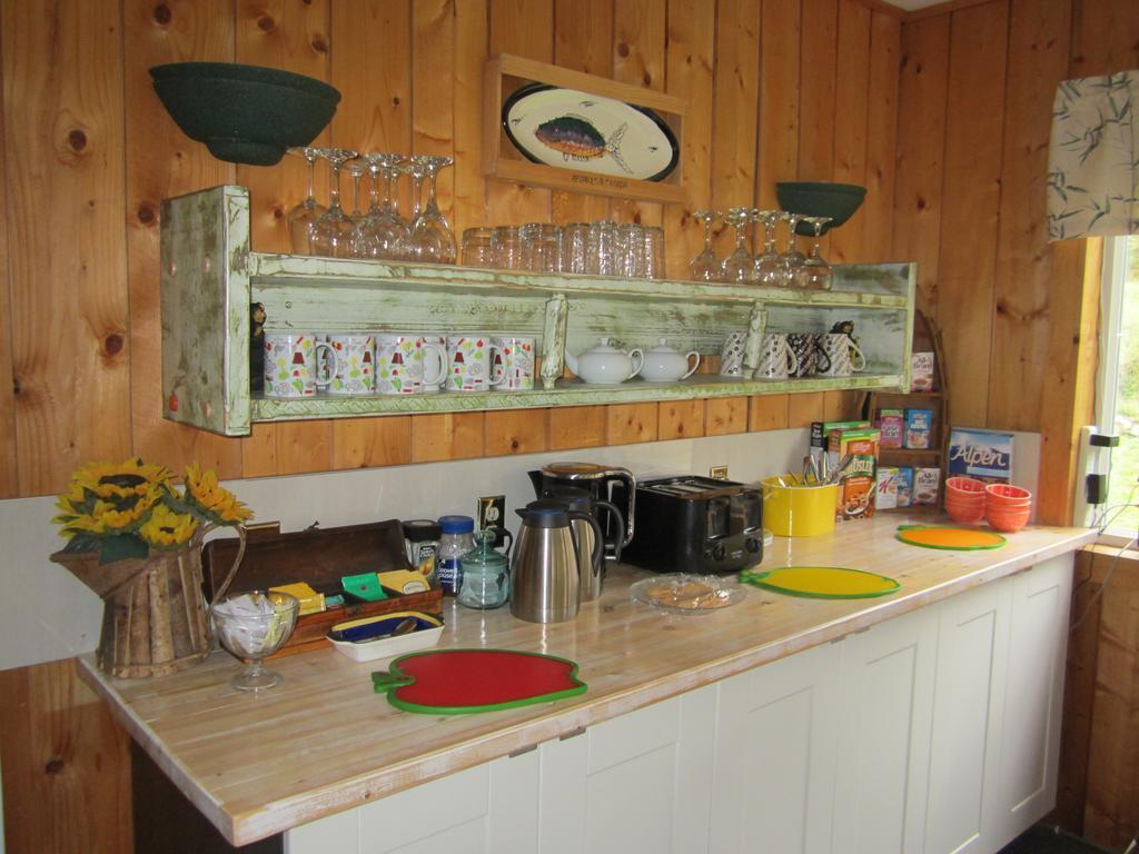 Dream Catcher Inn Valemount Zewnętrze zdjęcie