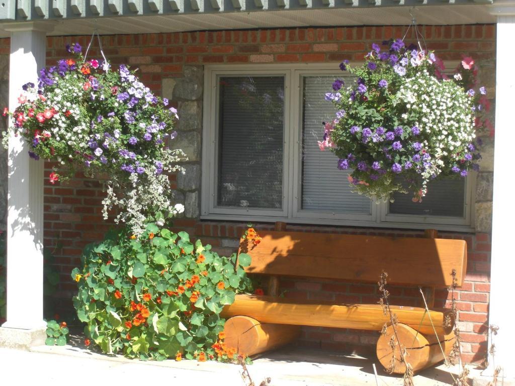 Dream Catcher Inn Valemount Zewnętrze zdjęcie